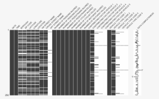The Package Exposes A Series Of Top-level Data Visualizations #7148313