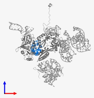 <div Class='caption-body'>pdb Entry 3deg Contains 1 #7151350
