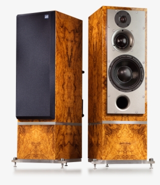 Anniversary-50s #7151472