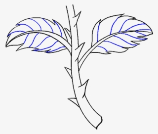 How To Draw Rose With A Stem #7152624 How To Draw Rose With A Stem #7152624