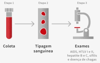 O Sangue Coletado #7153761
