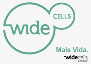 Venture Capital Série B #7153930