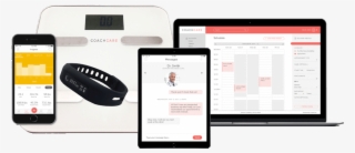 Scale/wristband Bundle #7157414