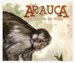 Arauca Reserva De Vida #7157603