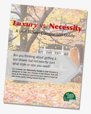 Are You Thinking About Getting A Leaf Blower But Not #7161267