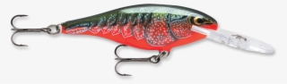 Rapala Shad Rap Custom Hd Live Largemouth Bass 3-1/8" #7163620