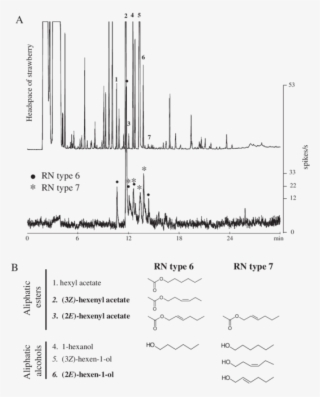 A) Gas Chromatogram Of The Headspace Sample Of Cut #7163952
