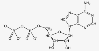 File - Adpchemdraw #7164561