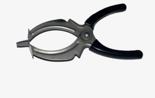 Bander Stainless Steel #7165379
