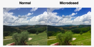 I Had Maybe 10% Of This Enhancement From Microdosing #7166201