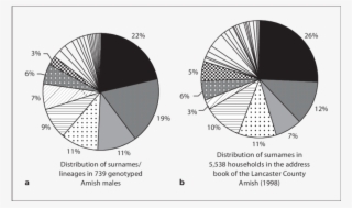 Of Surnames And Lineages In Our Sample Of 739 Genotyped #7166300