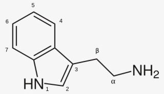 Lsd Tab Png #7167200 Lsd Tab Png #7167200