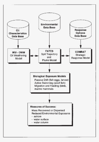 Schematic Overview Of The Oscar System #7167485