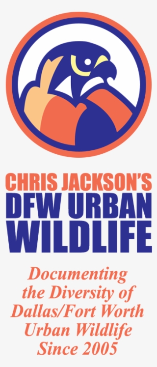 Dfw Urban Wildlife #7171562