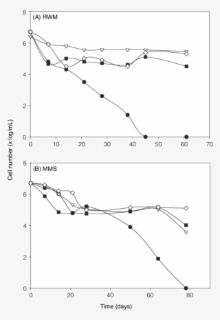 State By Vibrio Cholerae O139 In The River Water Microcosm #7178451