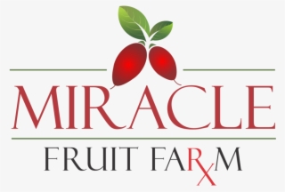 Miracle Fruit Farm, Llc- Fresh Miracle Berries & More #7184391