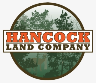 Buy Logs In Maine At Hancock Lumber #7187232