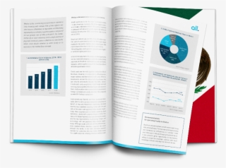 Mexican Payment Processing #7192572