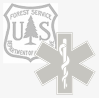 Ems Fs Sheild Logo #7193240