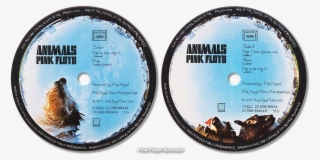 Etiquetas Lados 1 Y #7196515