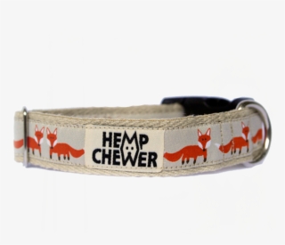 Hempchewer Foxy 25mm Collar #7197365