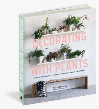 Hanging Plants Png #7197370