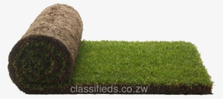 Lawn Png #7197579
