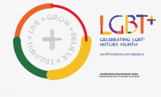 The Ace Case #7197580