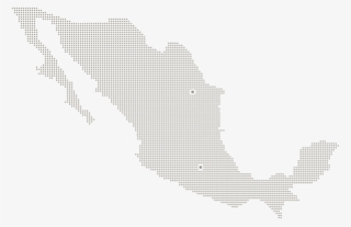 Execujet Has Been Operating In Mexico Since 2002 And #7197847