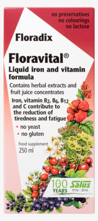 Salus Haus Floradix Floravital®, Liquid Iron And Vitamin #7199268
