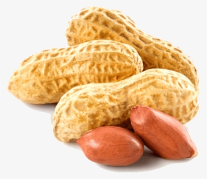 Transparent Peanut - Peanut Png #720035