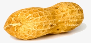 Nuts - Peanut Png Transparent #720079