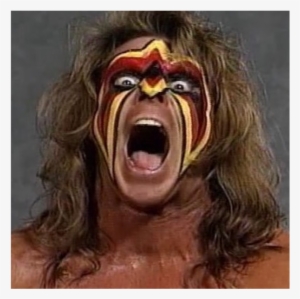 Wwe 2k14 Gets Ultimate Warrior Pre-order Bonus - Ho Kogan #720080