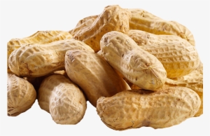 Peanut Png Transparent Picture - Peanut Transparent Background #720259