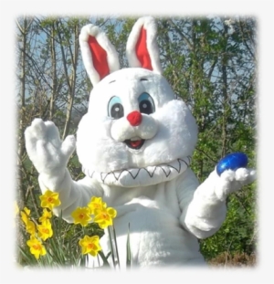 Image017 - Easter Bunny #720302