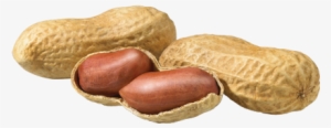 Peanut Png Transparent - Peanut #720352