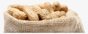 Bag Of Peanuts - Peanut #720546