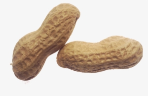 Peanut Png #720616