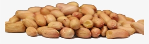 Raw Peanuts - Russet Burbank Potato #720671