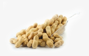 Peanuts - Peanut #721224