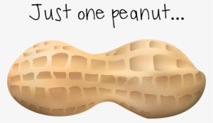 Transparent Peanut One Vector Library #721286