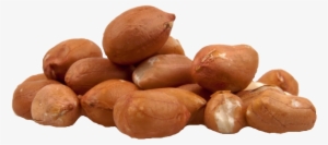 Df 47 Peanut Plain Kernel - Peanut Without Shell #721351