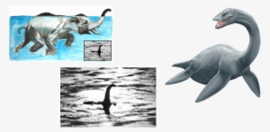 Images Of The Loch Ness Monster - Believe. (nessie) Bumper Sticker #721682