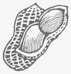 Floating-peanut - Illustration #721685