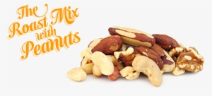Mixed Nuts Roasted With Peanuts - Grape Tree Mixed Nuts With Peanuts 500g #721905