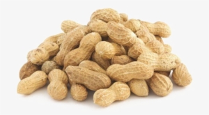 Peanut In Shell - Transparent Background Peanut Png #722129