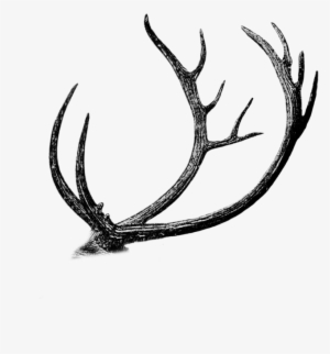 Free Png Antler Cutout By Mauvevrexel - Reindeer #722427