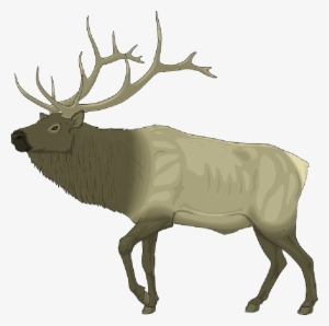 Mb Image/png - Elk Clip Art Free #722576