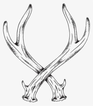 Drawn Antler Transparent - Antlers Drawing Png #722595