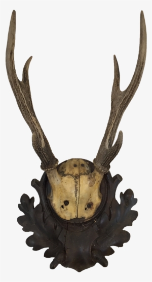 Small Antler Mount #722686